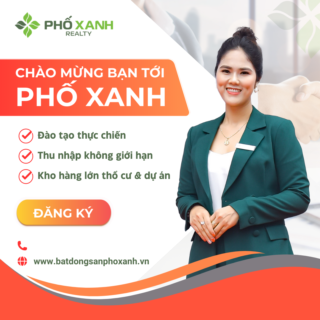 lĩnh vực hoạt động
